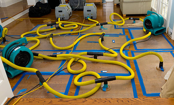 Professional Burst Pipe Water Damage technician working in Onamia, MN